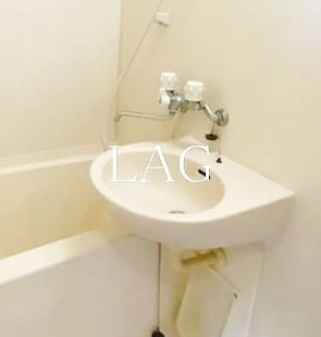 【洗面所】 | ラグジュアリーアパートメント中目黒 | 洗面台です。