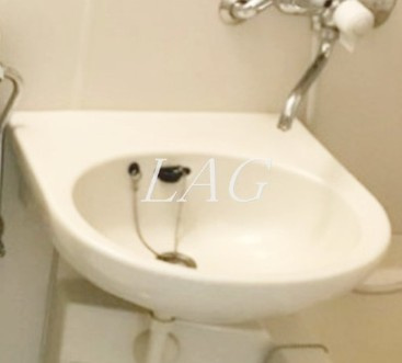 【洗面所】 | 白樺マンション | 洗面台です。