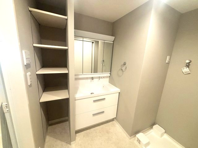 ブルーハイツ上野1の独立洗面台