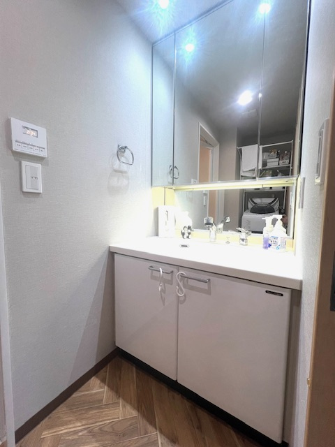 ワコーレフォルトゥーナ長田南の独立洗面台