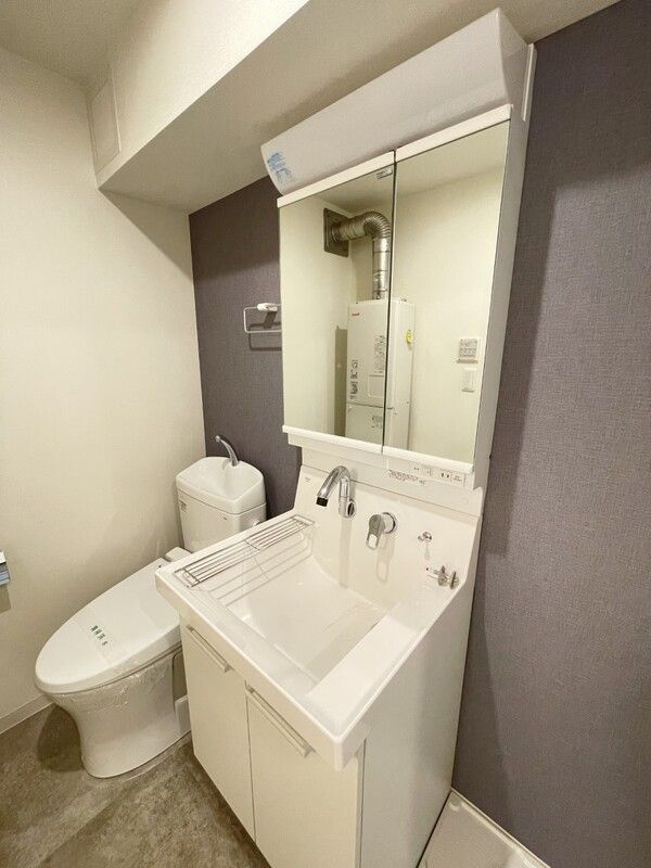 アルファキューブ上十条(アルファキューブカミジュウジョウ)の独立洗面台