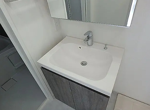 クレヴィスタ板橋志村の洗面所