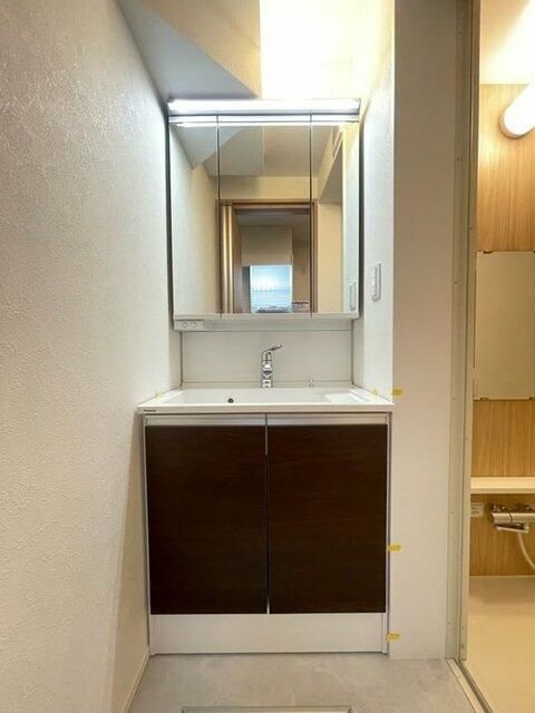 ライブリー東向島の洗面所