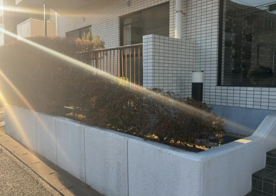 【中庭】 | パシフィックパレス淵野辺 | 中庭（パティオ）とは、一つの建築物の内部に設けられた、壁などで囲われている庭のことを指します。コの字型、ロの字型が主流ですが、L字型の中庭もあります。最近では、インテリア性の高さからも人気があります。