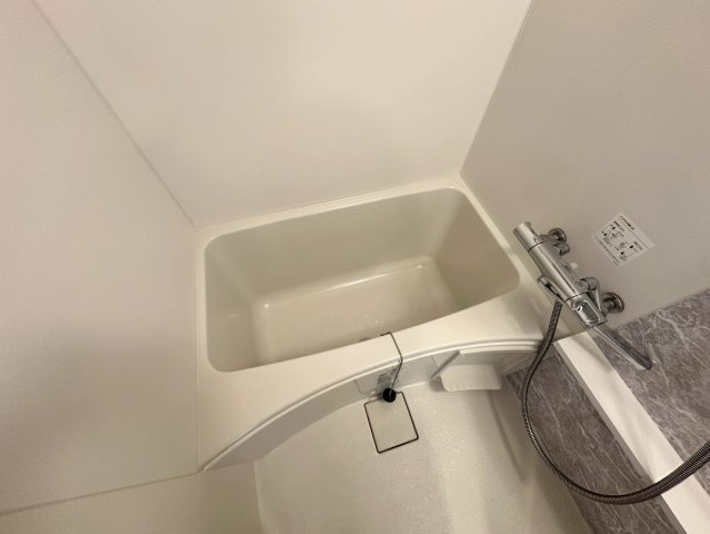 エスリード難波ザ・プレミアの浴室