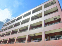 スターハイムの画像