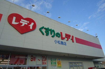 【周辺】 | カトレア | レディ薬局小松島店様まで450m