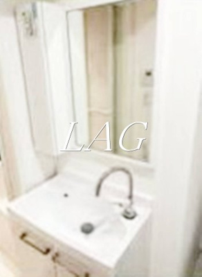 【洗面所】 | メゾン・ド・目白台 | 洗面台です。