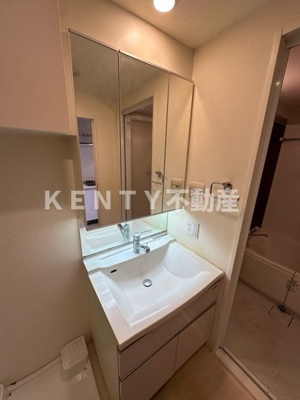 【洗面所】 | エステムプラザ蒲田ＴＡＫＡＲＡＢＵＮＥ | 洗面所です