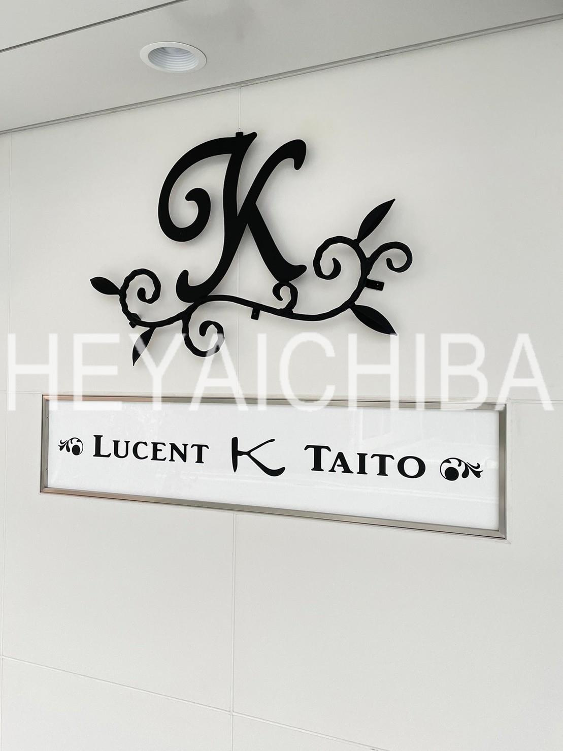 ルーセントＫ台東のその他|ランドマーク