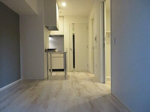 ライオンズ浅草橋ミレスの居間・リビング