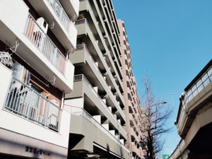 【外観】 | 2025年2月6日撮影