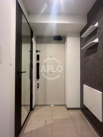 エステムプラザ南船場レジスタの玄関|エステムプラザ南船場レジスタ　玄関