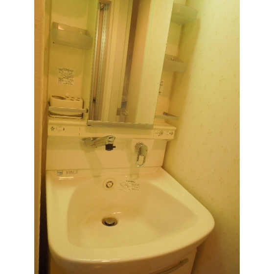 プレナスみなみ野の洗面所