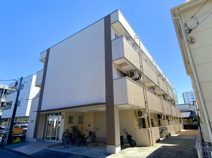 豊年・カモミールの画像