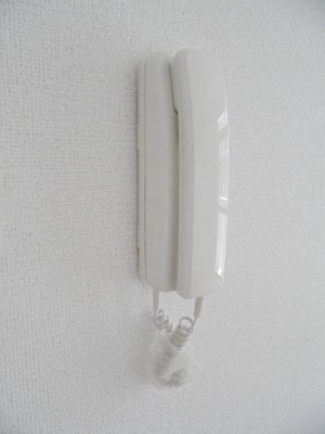 【セキュリティ】 | ミニヨンほたる | その他