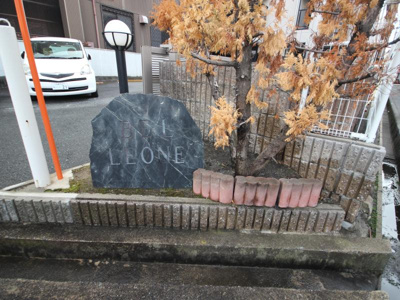 【その他】 | ベル・レオーネ