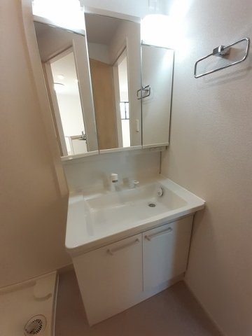 チェスナッツ　桜大の洗面所