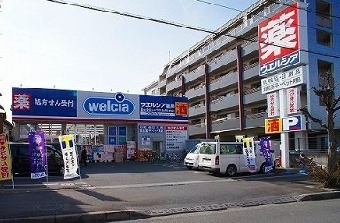 ブランドールの周辺|ウエルシア富士見東みずほ台店まで210m