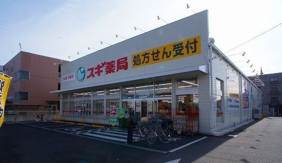 ブランドールの周辺|スギ薬局東みずほ台店まで850m