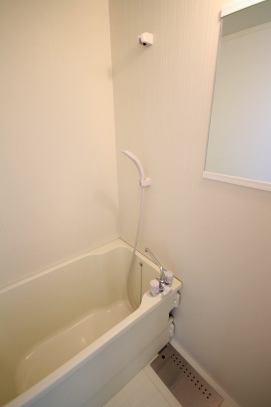 メゾン・ドゥ・レイリーＣ棟の浴室|浴室