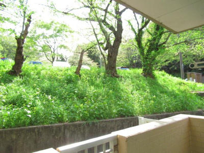 【その他】 | ニュー今井堂マンション | ベランダからの眺望