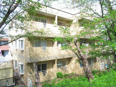 【外観】 | ニュー今井堂マンション | 外観写真（昼）