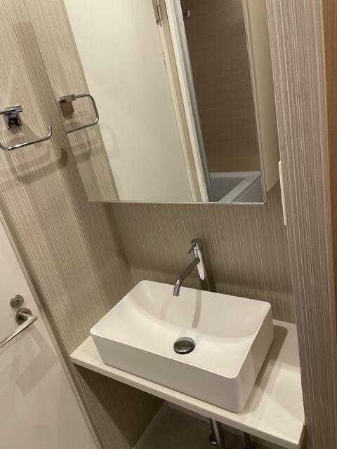 柳沢ゴールデンハイツの洗面所