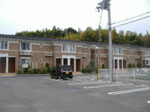 グリーンピュアの画像