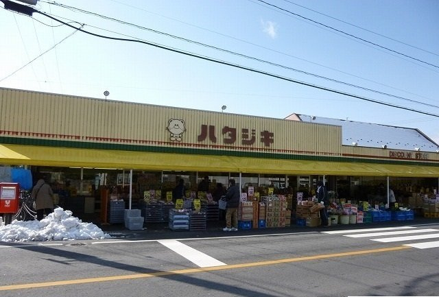 コリーヌ　Ｃの周辺|フードセンターハタジキまで160m