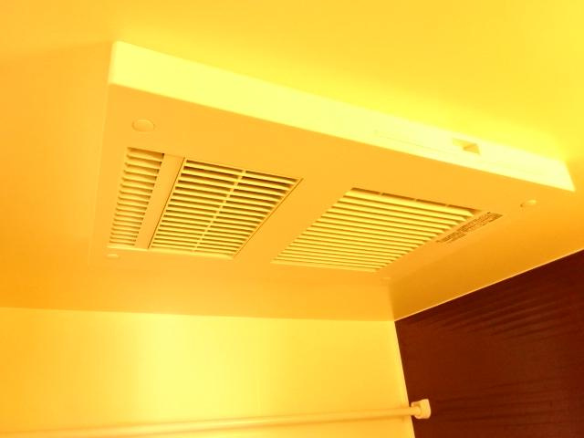 フォルマ日宇那のその他|その他