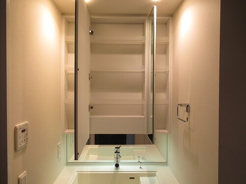 グローベル　ザ・スイート横浜プレミアの収納|洗面台収納