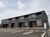 ノーブルの画像