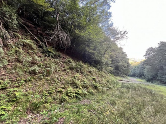 【周辺】 | 京都府船井郡京丹波町水原　土地