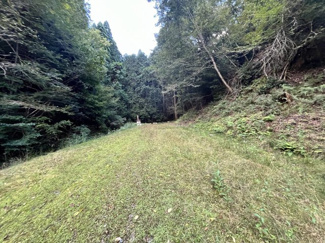 【周辺】 | 京都府船井郡京丹波町水原　土地