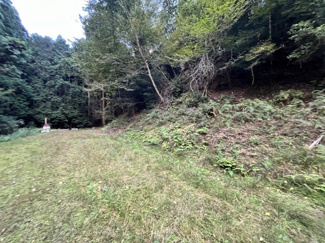 【周辺】 | 京都府船井郡京丹波町水原　土地