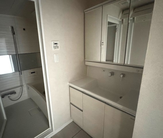 前川公園ローヤルコーポの独立洗面台