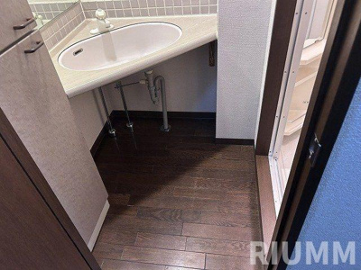 【独立洗面台】 | ルーブル都立家政