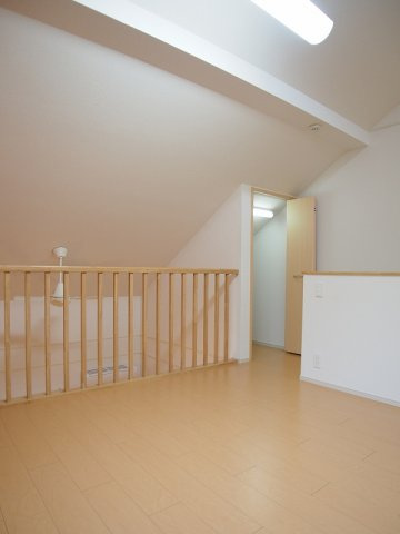 ヴィオラのその他