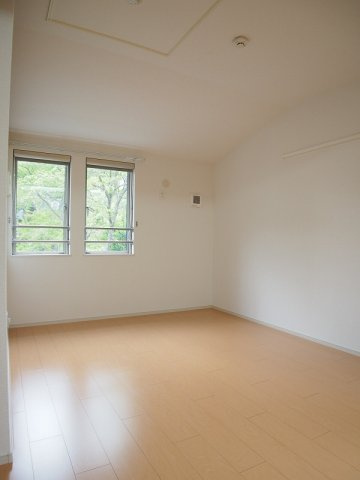 ヴィオラの展望