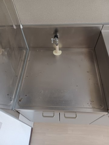 エマーユ・ピノのその他