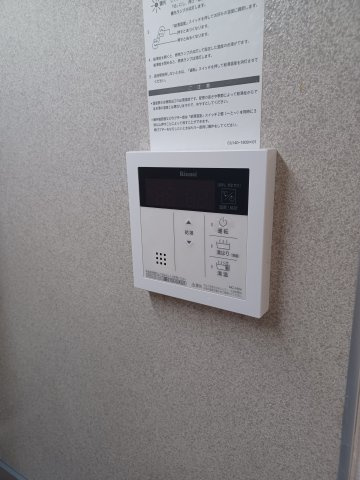 エマーユ・ピノのその他