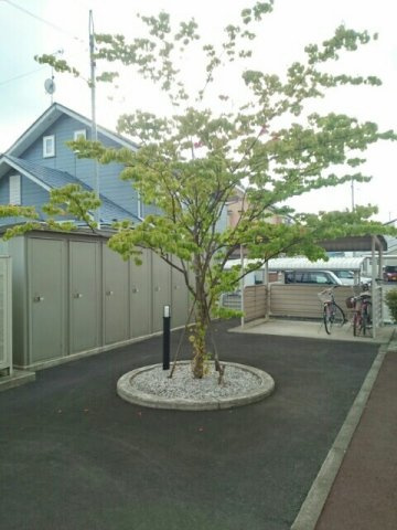 プリムローズのその他