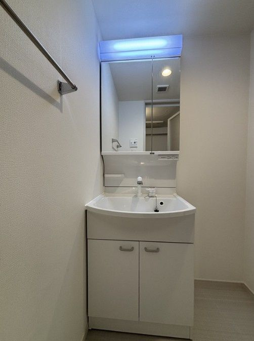 リブリ・岩槻Ⅱの独立洗面台