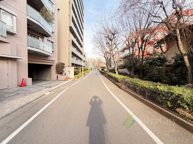 オーベル三軒茶屋ｄｒのその他|前面道路