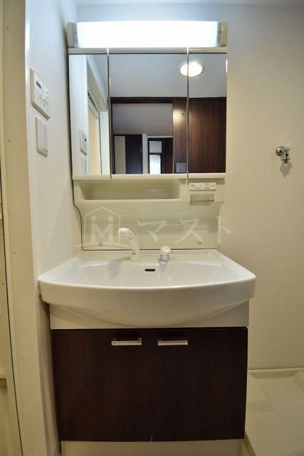 大阪市西区新町４丁目の賃貸マンションの洗面所