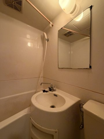 メゾン竹の洗面所