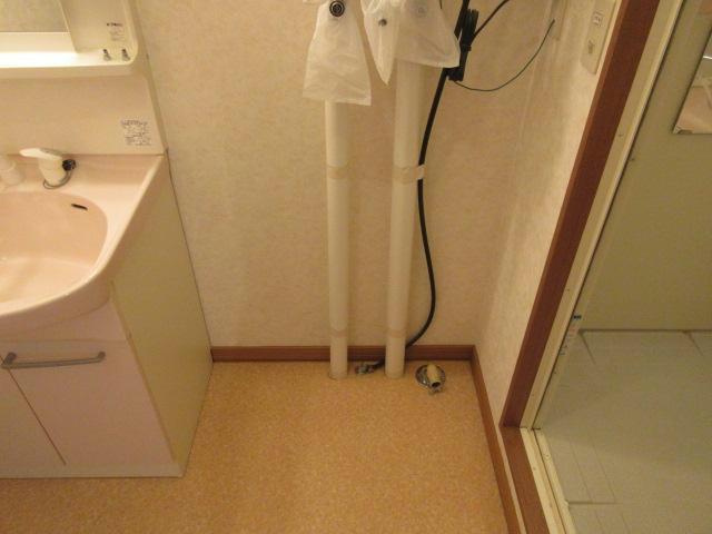 ヴァイオレットハイツの洗面所