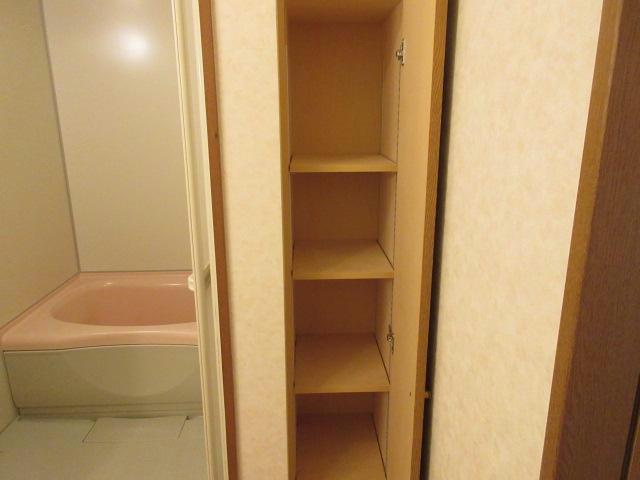ヴァイオレットハイツの収納