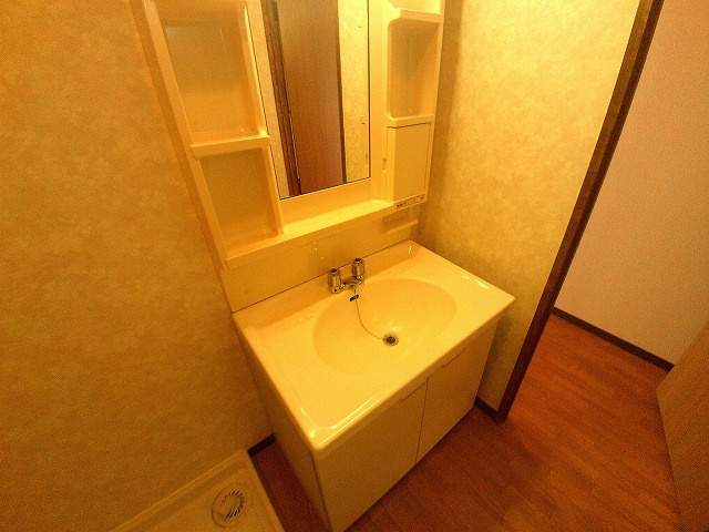 カーサベガの洗面所